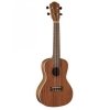 Baton Rouge V8-C RDBL ukulele koncertowe
